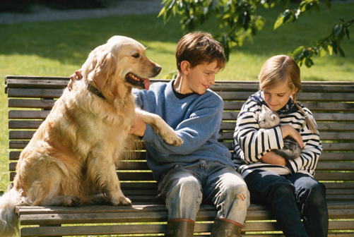 A Golden Retriever sitting on a park bench with 2 young children