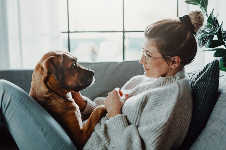 Coconut oil to hot sale clean dog's eyes