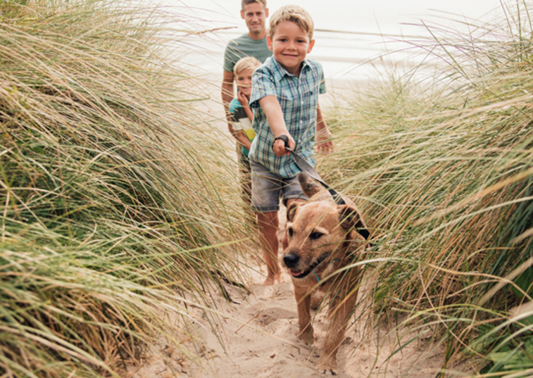 A young boy walking a dog on a lead with his family on a sandy beach