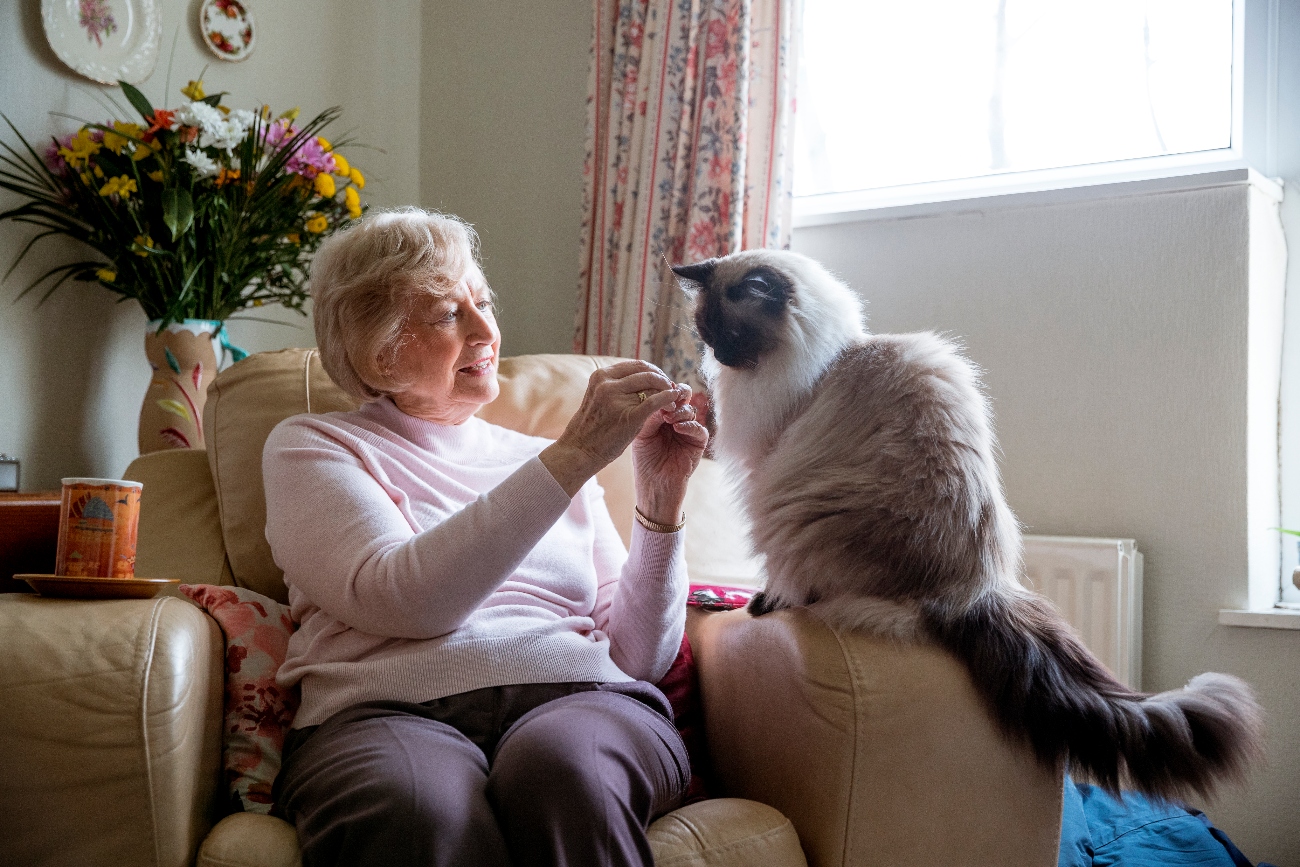 an elderly woman feeding a cat