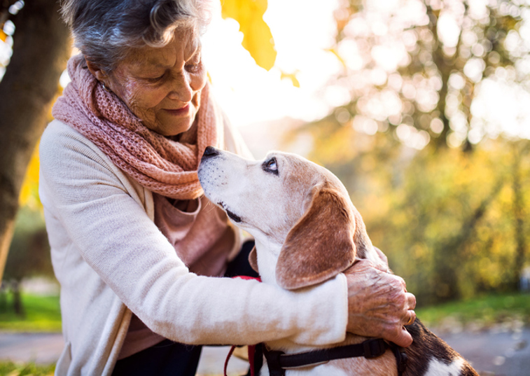 Do dog owners live longer?