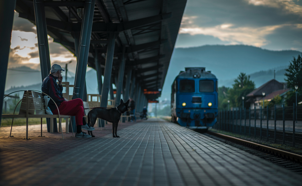 can you take a dog on a train uk